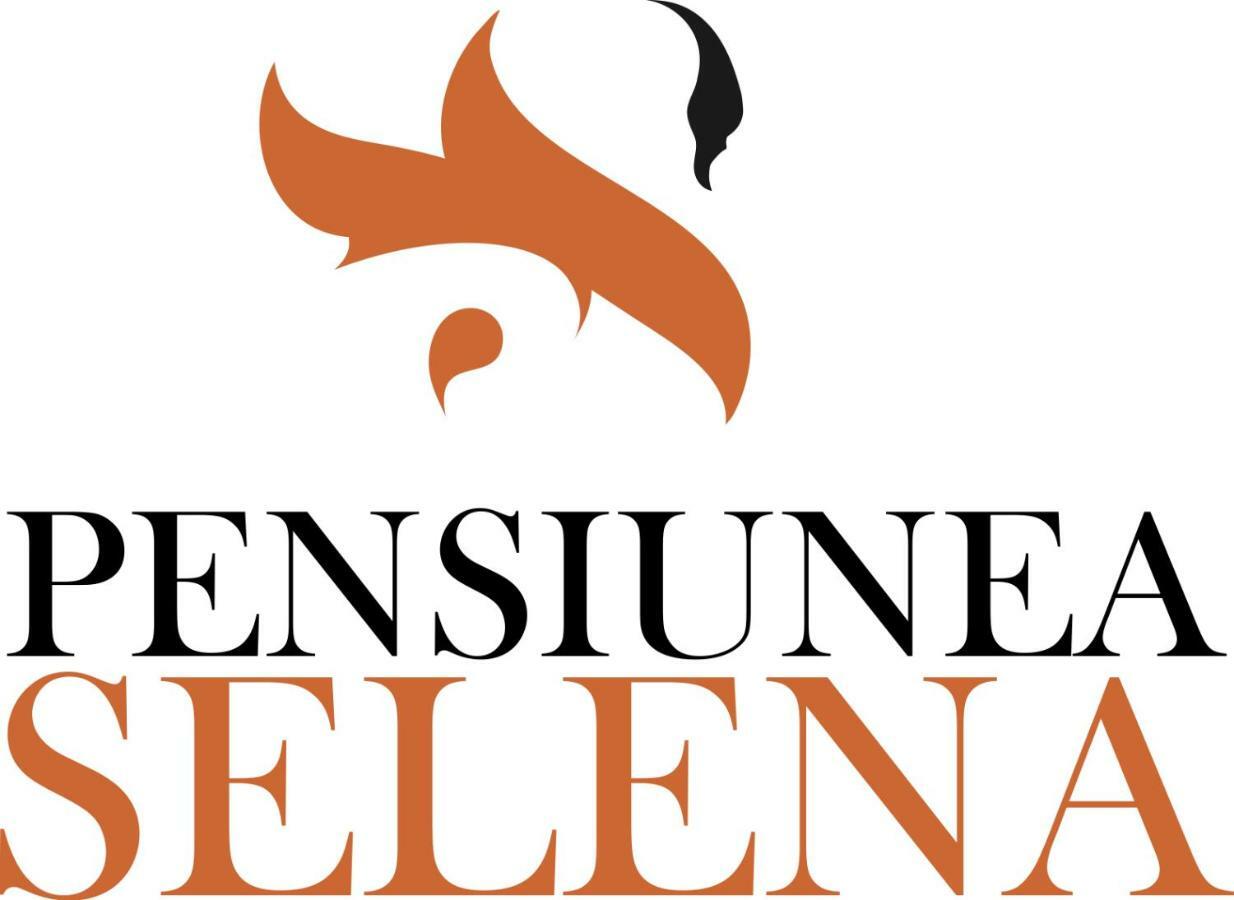 ויסו דה סוס Pensiunea Selena מראה חיצוני תמונה